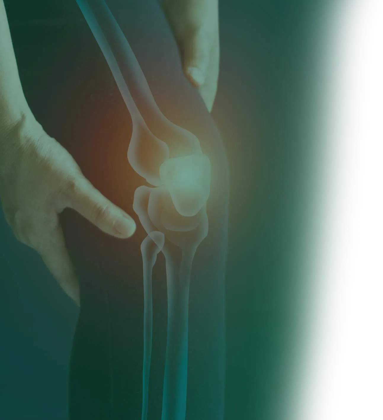 Ageless Knees Q